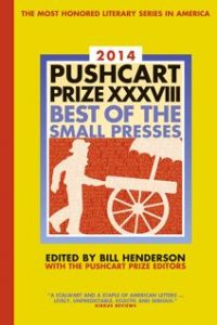 Pushcart Nominations