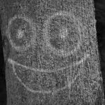 Smiling-Tree