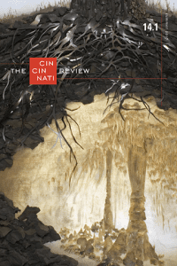 Bringing Together Visual and Literary Narrative