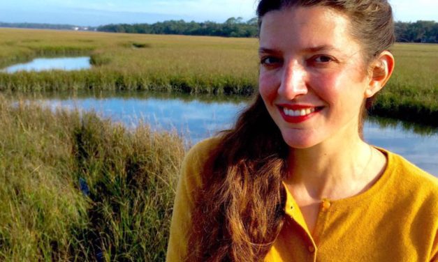 miCRo: “From the Minister of the Cabinet of Admonition,” by Stephanie Ellis Schlaifer