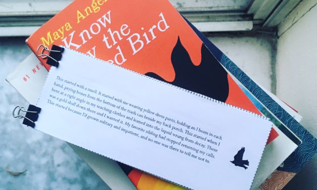 Why We Like It: “The Crow in Effigy: A Flip-Book” by Sarah Minor, and Other Nontraditional Essays