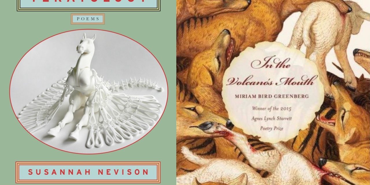 What We’re Reading: Poetry Collections by Susannah Nevison and Miriam Bird Greenberg