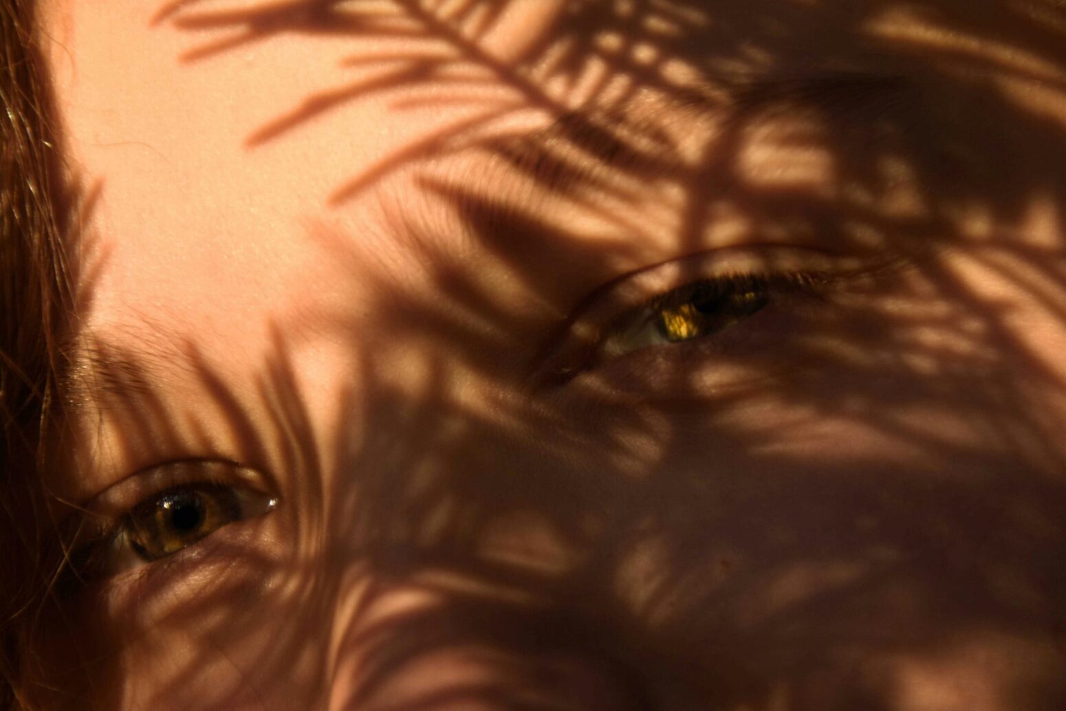 Extreme closeup of a young boy's face above the cheekbones, with shadows of a fern over him. There is a gold glint in his right eye.