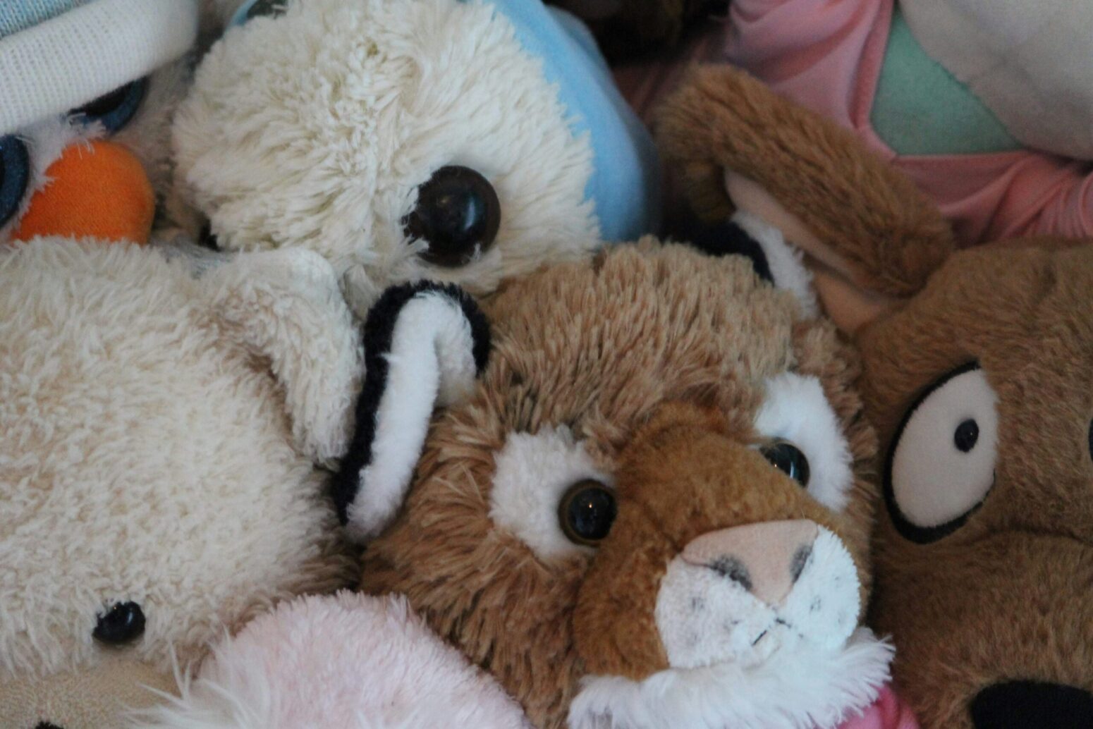 A closeup of four or five stuffed animals, with a brown tiger in the center