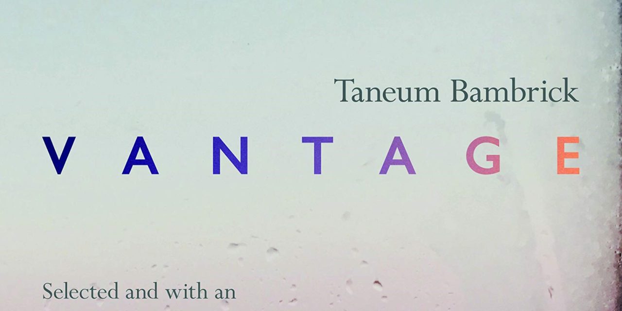 microreview & interview: Taneum Bambrick’s Vantage