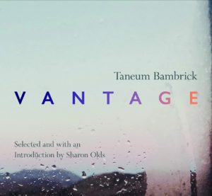 microreview & interview: Taneum Bambrick’s Vantage
