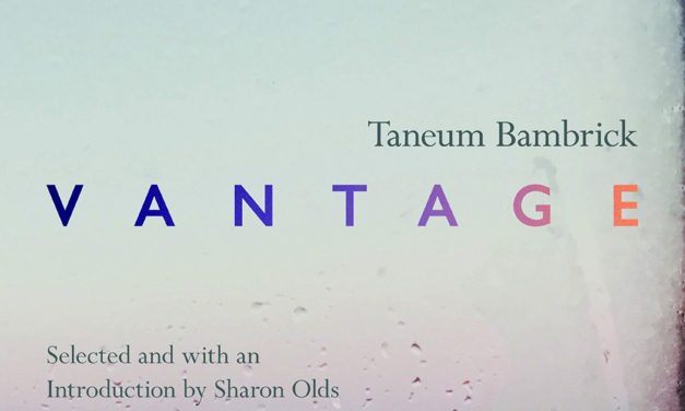 microreview & interview: Taneum Bambrick’s Vantage