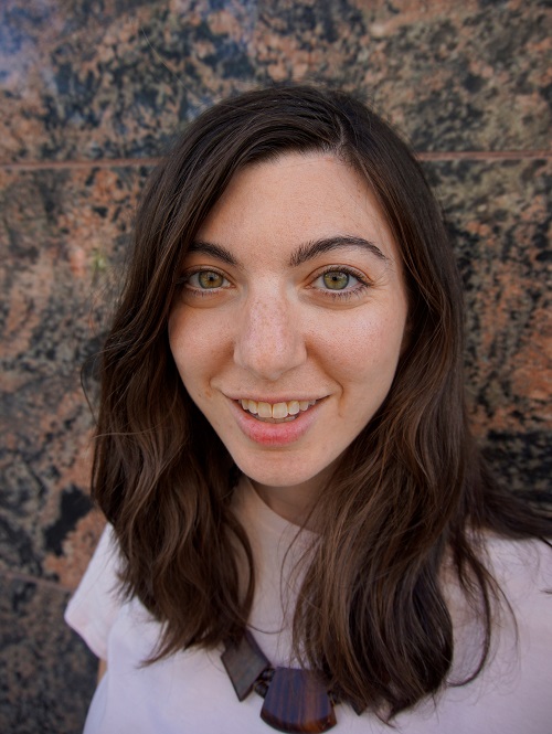 miCRo: “The Neighborhood Girls Sabotage the Dairy Queen Order” by Allison Pitinii Davis