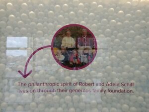 In Memory of Adele Schiff