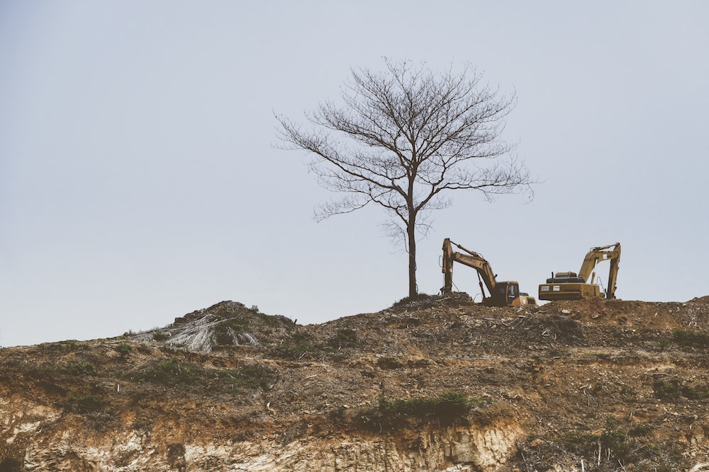 two excavators and a tree on a rocky hill