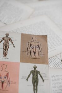 Why We Like It: “The Experiment” by Sarah Fawn Montgomery