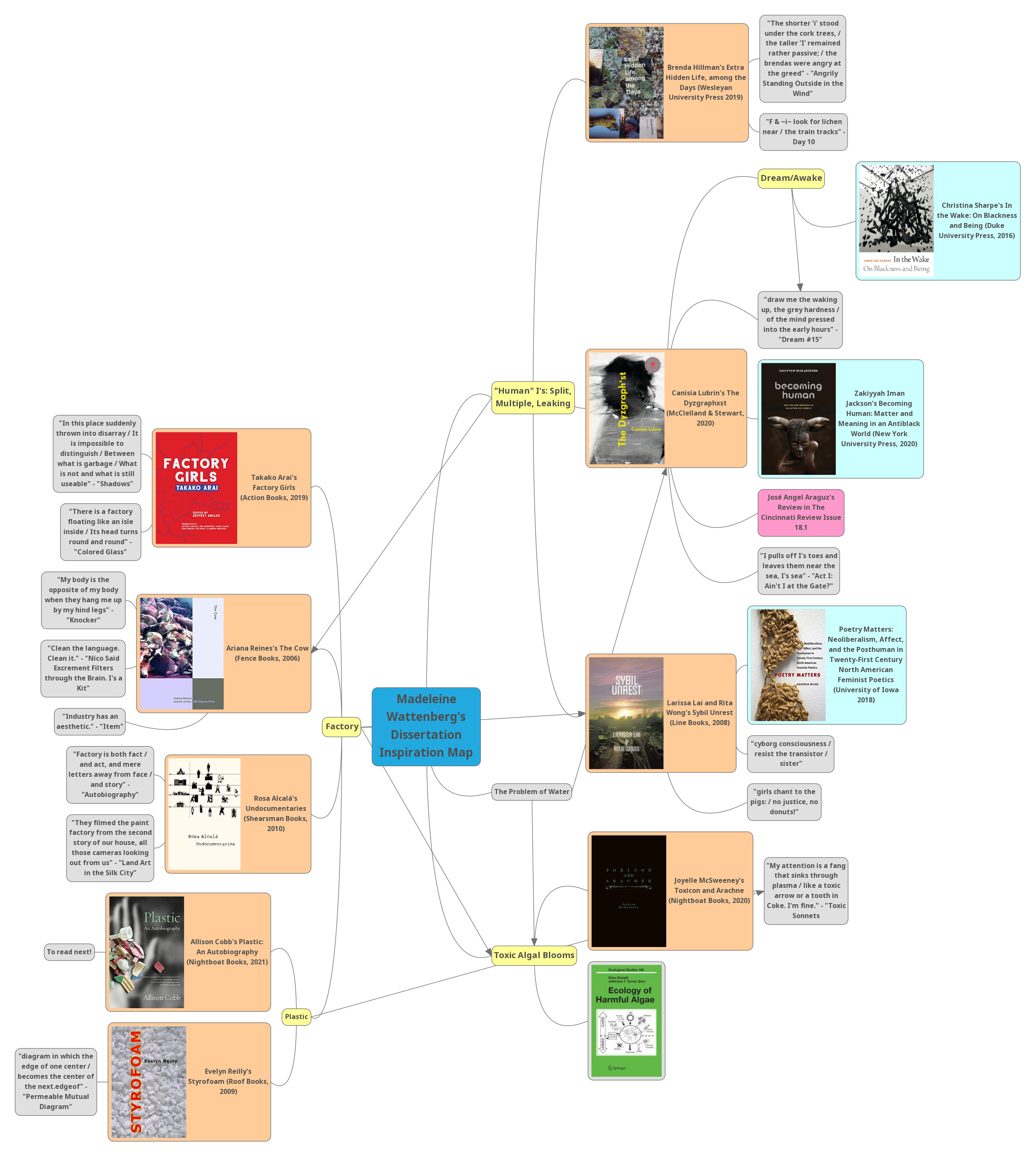 •	Madeleine Wattenberg’s Dissertation Inspiration Map
–	“Human” I’s: Split, Multiple, Leaking
•	Brenda Hillman’s Extra Hidden Life, among the Days (Wesleyan University Press 2019)
–	“The shorter ‘i’ stood under the cork trees, / the taller ‘I’ remained rather passive; / the brendas were angry at the greed” - “Angrily Standing Outside in the Wind”
–	“F & i look for lichen near / the train tracks” - Day 10
•	Canisia Lubrin’s The Dysgraphxst (McClelland & Stewart, 2020)
–	Dream/Awake
•	Christina Sharpe’s In the Wake: On Blackness and Being (Duke University Press, 2016)
–	“draw me the waking up, the grey hardness / of the mind pressed into the early hours” - “Dream #15”
–	Zakiyyah Iman Jackson’s Becoming Human: Matter and Meaning in an Antiblack World (New York University Press, 2020)
–	José Angel Araguz’s Review in The Cincinnati Review Issue 18.1
–	“I pulls off I’s toes and leaves them near the sea, I’s sea” - “Act I: Ain’t I at the Gate?”
•	Larissa Lai and Rita Wong’s Sybil Unrest (Line Books, 2008)
–	Poetry Matters: Neoliberalism, Affect, and the Posthuman in Twenty-First Century North American Feminist Poetics (University of Iowa 2018)
–	“cyborg consciousness / resist the transistor / sister”
–	“girls chant to the pigs: / no justice, no donuts!”
–	The Problem of Water
–	Toxic Algal Blooms
•	Joyelle McSweeney’s Toxicon and Arachne (Nightboat Books, 2020)
 	
–	“My attention is a fang that sinks through plasma / like a toxic arrow or a tooth in Coke. I’m fine.” - "Toxic Sonnets
–	Factory
•	Takako Arai’s Factory Girls (Action Books, 2019)
–	“In this place suddenly thrown into disarray / It is impossible to distinguish / Between what is garbage / What is not and what is still useable” - “Shadows”
–	“There is a factory floating like an isle inside / Its head turns round and round” - “Colored Glass”
•	Ariana Reine’s The Cow (Fence Books, 2006)
–	“My body is the opposite of my body when they hang me up by my hind legs” - “Knocker”
–	“Clean the language. Clean it.” - “Nico Said Excrement Filters through the Brain. I’s a Kit”
–	“Industry has an aesthetic.” - “Item”
•	Rosa Alcalá’s Undocumentaries (Shearsman Books, 2010)
–	“Factory is both fact / and act, and mere letters away from face / and story” - “Autobiography”
–	“They filmed the paint factory from the second story of our house, all those cameras looking out from us” - “Land Art in the Silk City”
•	Plastic
–	Allison Cobb’s Plastic: An Autobiography (Nightboat Books, 2021)
•	To read next!
–	Evelyn Reilly’s Styrofoam (Roof Books, 2009)
•	“diagram in which the edge of one center / becomes the center of the next.edgeof” - “Permeable Mutual Diagram”
