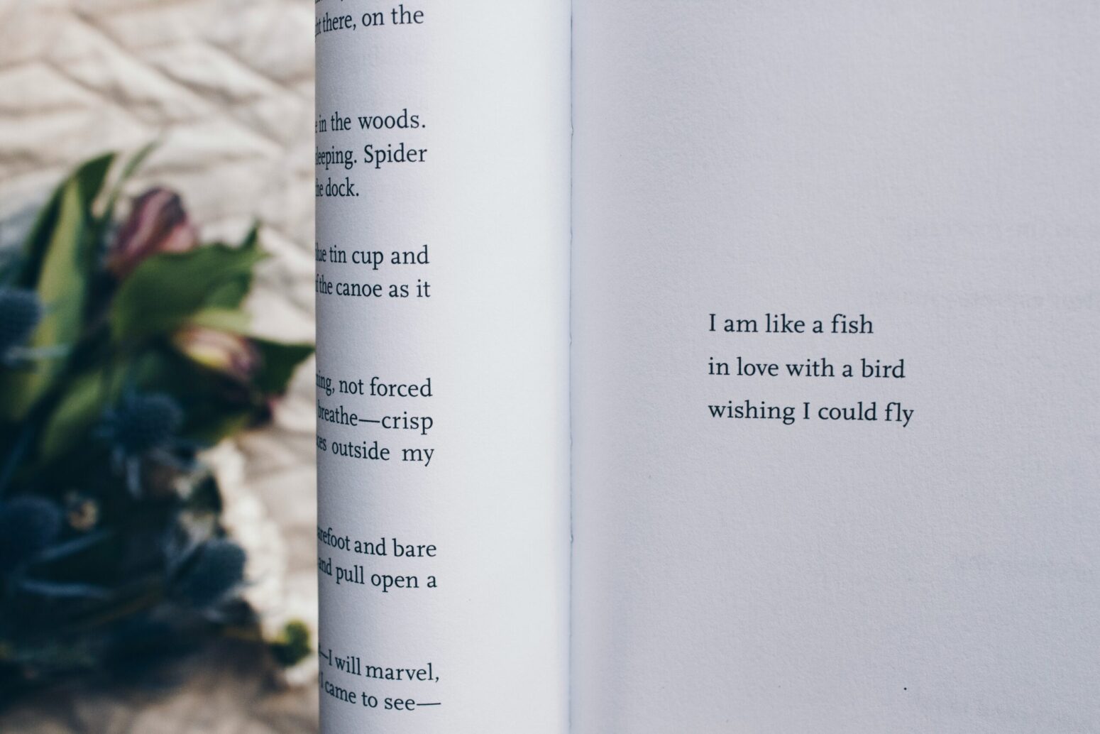 A poetry book that it folded over, on a page that reads "I am like a fish / in love with a bird / wishing I could fly"