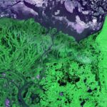 A Love Letter to Cli-Fi