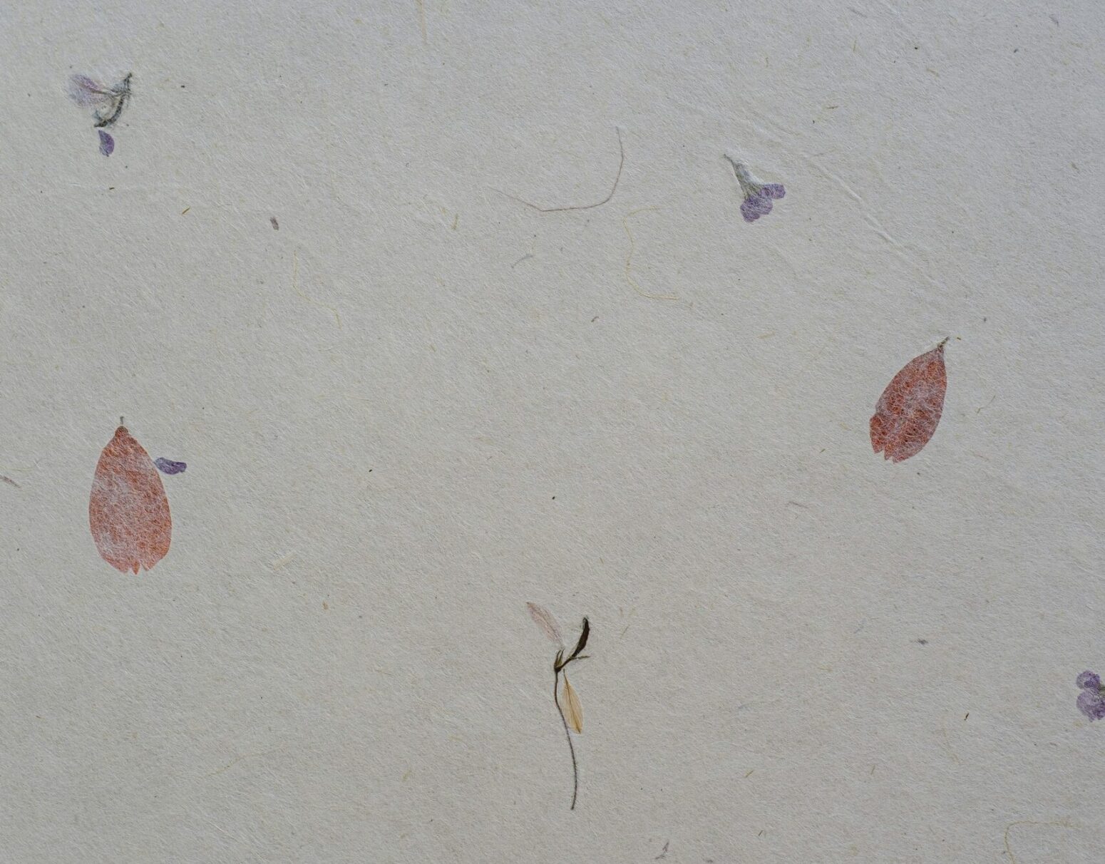Floral pattern drawn or painted on a cream-colored wall.