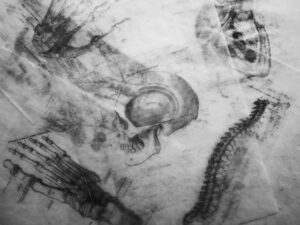 Special Feature: Some spooky miCRos to raise your heart rate