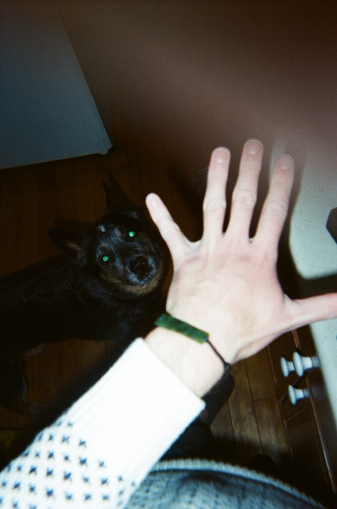 A white man's arm, illuminated by a camera flash, with fingers outspread, fills the foreground. The sleeve of a white sweater with black detail covers the arm, and it wears a string bracelet. Beneath it, in the dark, a Heeler-type dog looks up at the camera, eyes illuminated green by the flash.