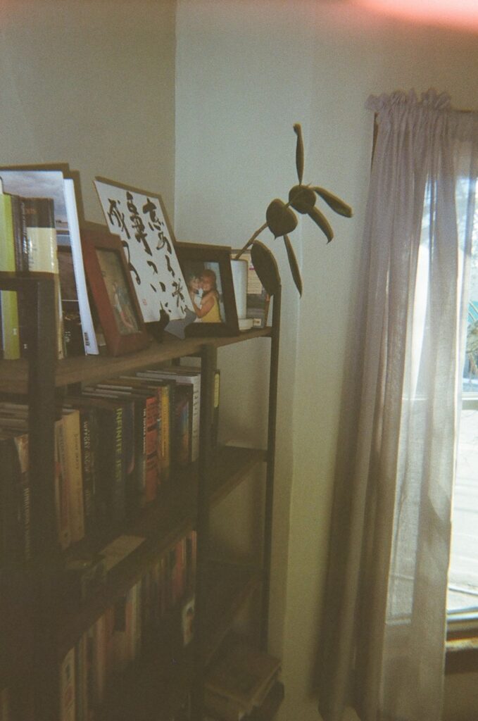 A bookcase next to the large curtained window in the image above. A green plant pokes out from the top shelf.