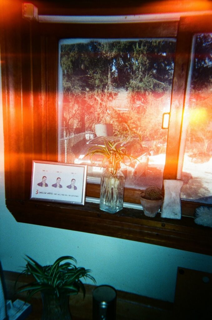 Shot, with light leaks, of a wood-framed window looking out on a driveway shaded by a coniferous tree. A car is parked in the driveway. Various plants and a framed drawing sit on the windowsill, and below the window.