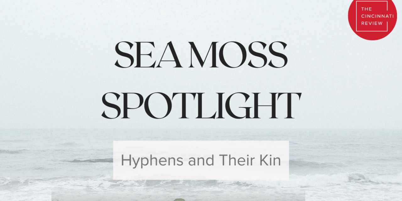 Sea Moss Spotlight: Hyphens and Their Kin