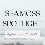 Sea Moss Spotlight: Hyphens and Their Kin