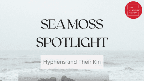 Sea Moss Spotlight: Hyphens and Their Kin