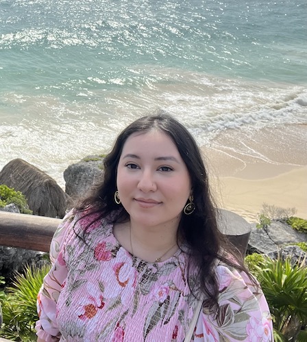 A Hazaran woman wearing a pink floral shirt looks into the camera. She has long dark hair, brown eyes, and wears silver dangling earrings. In the background we see a sandy beach and frothy waves. 
