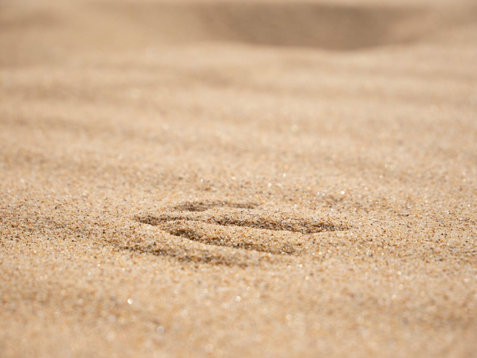 A few marks in a vast expanse of sand.