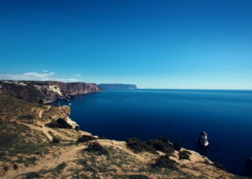 Gone Are the Blackberries, the Alycha, the Asters, and the Rusty Spigot