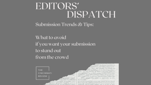 Trends & Tips: What We’re Seeing