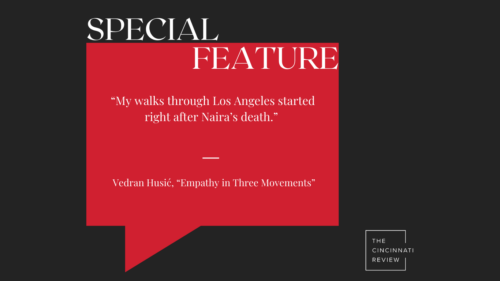 Special Feature: “Empathy in Three Movements” by Vedran Husić