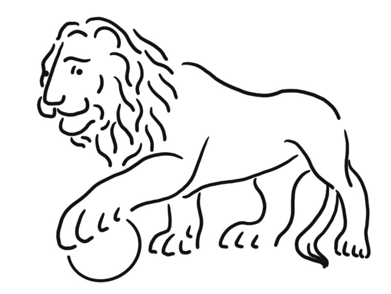 Black-and-white line illustration of Mack the lion by Maggie Stockman.