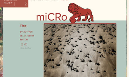 Notes from the (Re)Design Studio: Introducing Our New Look