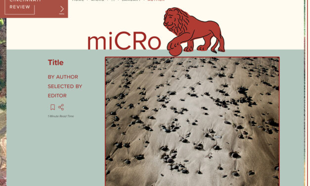 Notes from the (Re)Design Studio: Introducing Our New Look