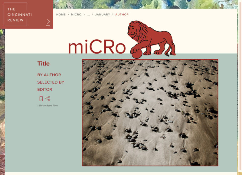 A screengrab from the redesign of the CR website. Header reads "miCRo."
