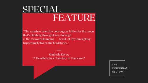 Special Feature: “A Heartbeat in a Cemetery in Tennessee” by Kimberly Reyes