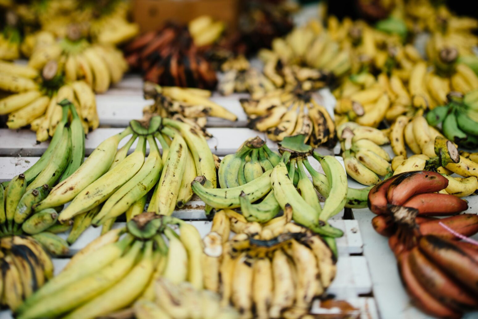 Display of plantains at various stages of ripeness.