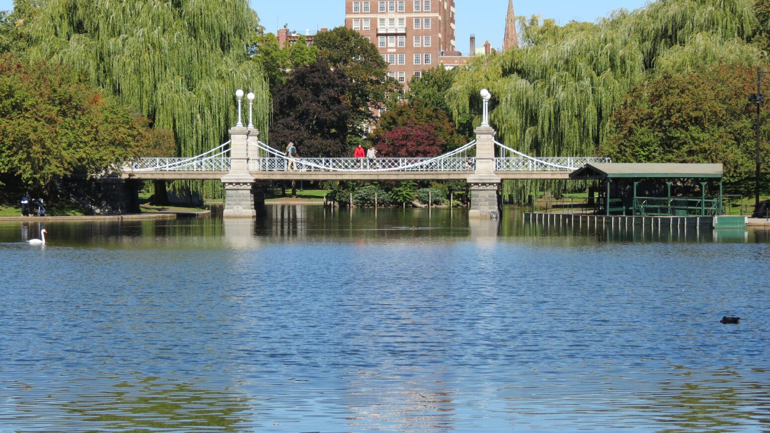 The foot bridge of the Boston Public Garden spans over its lagoon. It's a miniature suspension bridge with lampposts and concrete piers. Two figures cross the bridge--one in red, one white. It's a sunny afternoon. The trees are green. A red brick building looms in the background.