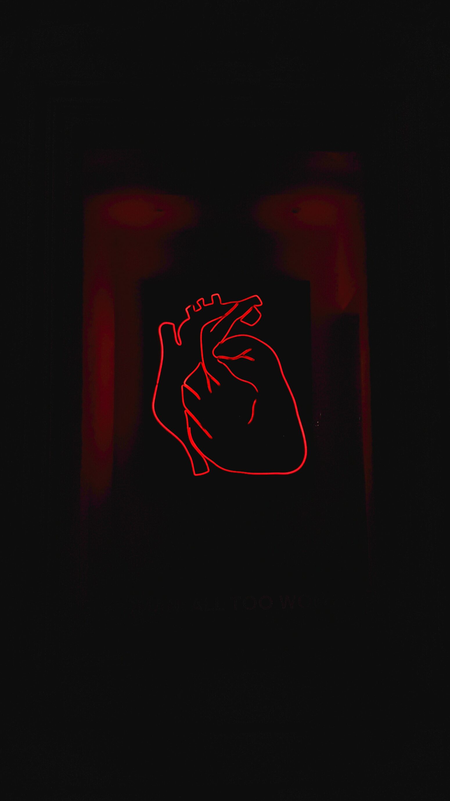 An anatomically-correct heart made out of red neon on a black background. There's a slight red glow surrounding the heart.