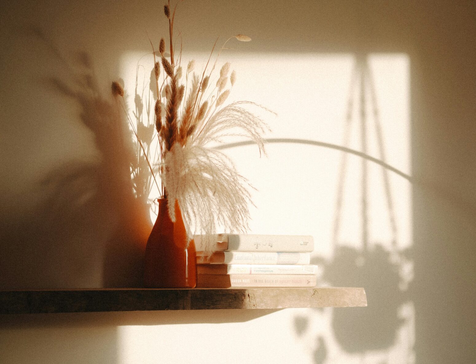 A square of light coming in through a window and casting shadows of plants on to a wall. A shelf with dried flowers and books is mounted on the wall.
