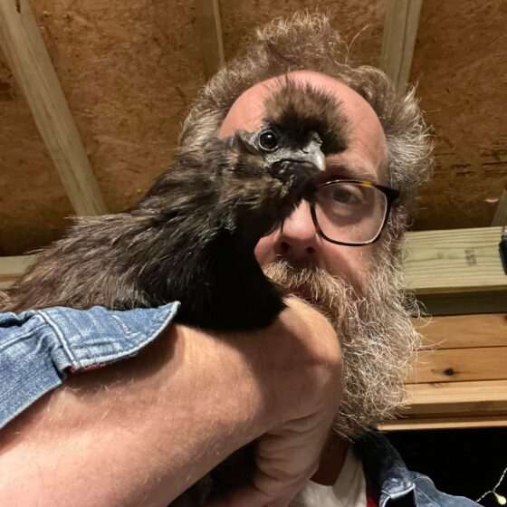 Neil Rough, a white man with a gray beard and black-rimmed glasses, holds a brown-feathered chicken with a fancy tuft on top of its head in the crook of his arm, obscuring his face. The bird stares directly at us.