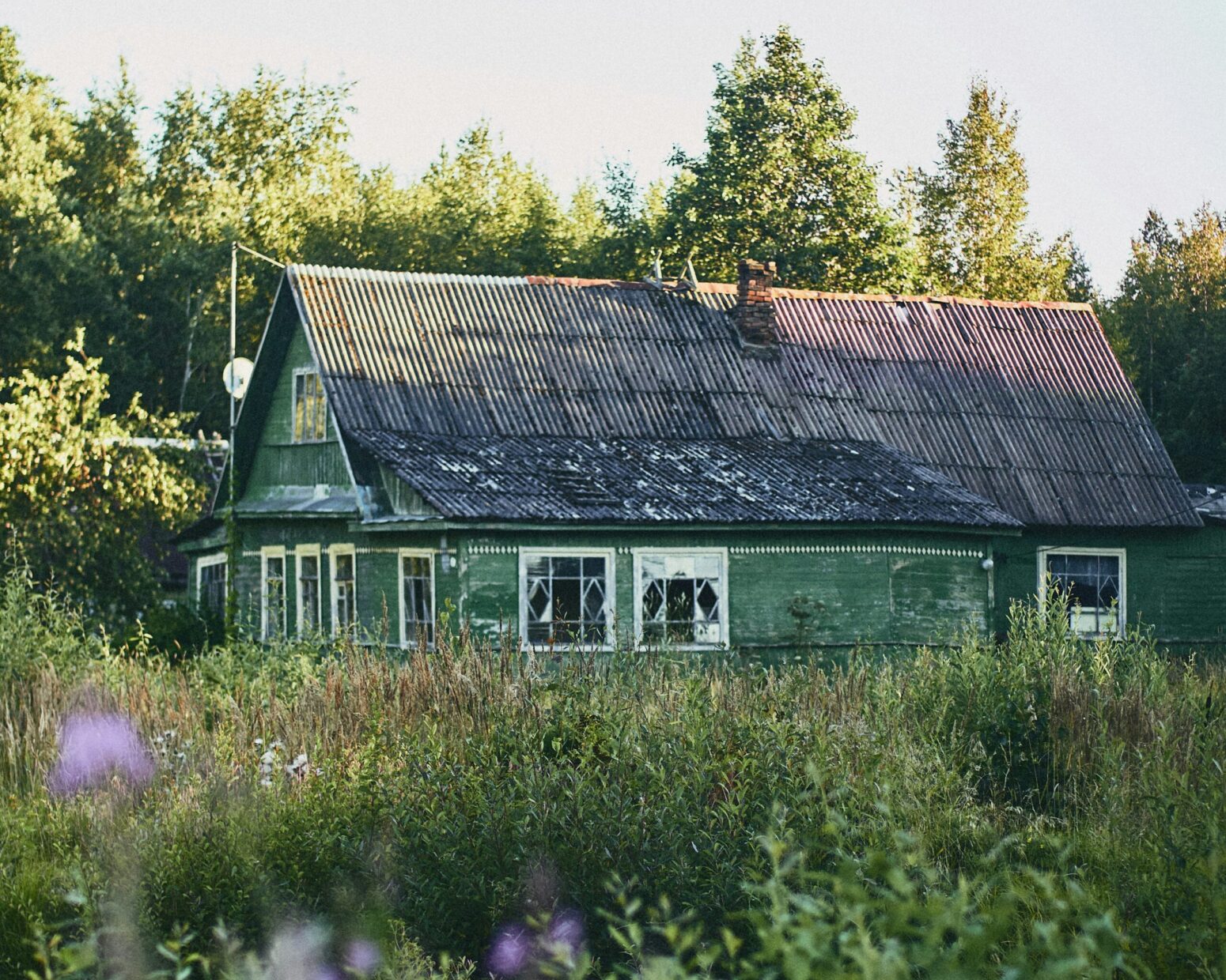 A rundown green house amid tall flowers and weeds
