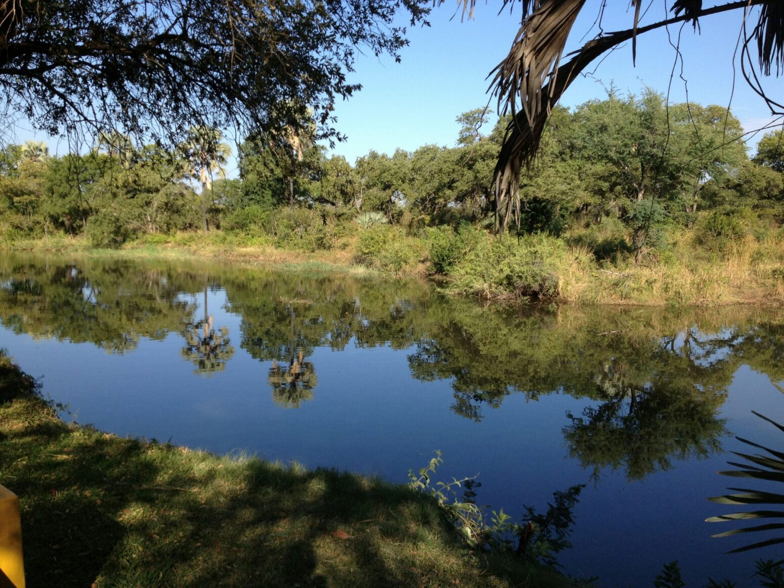 A still body of water with the reflection of trees and those trees themselves