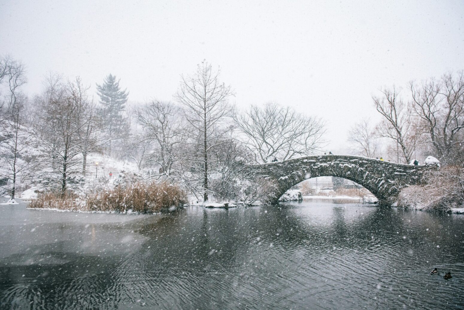 Central Park lake near stone bridge as snow falls