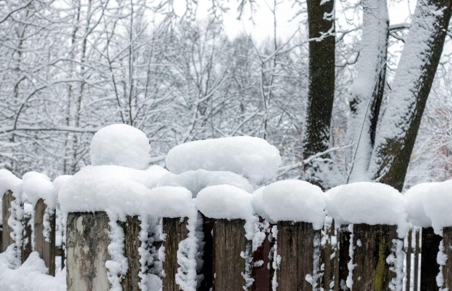 Snow covers wooden fence posts in a winter landscape.