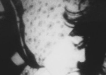 Abecedarian Failing the Bildungsroman Formula