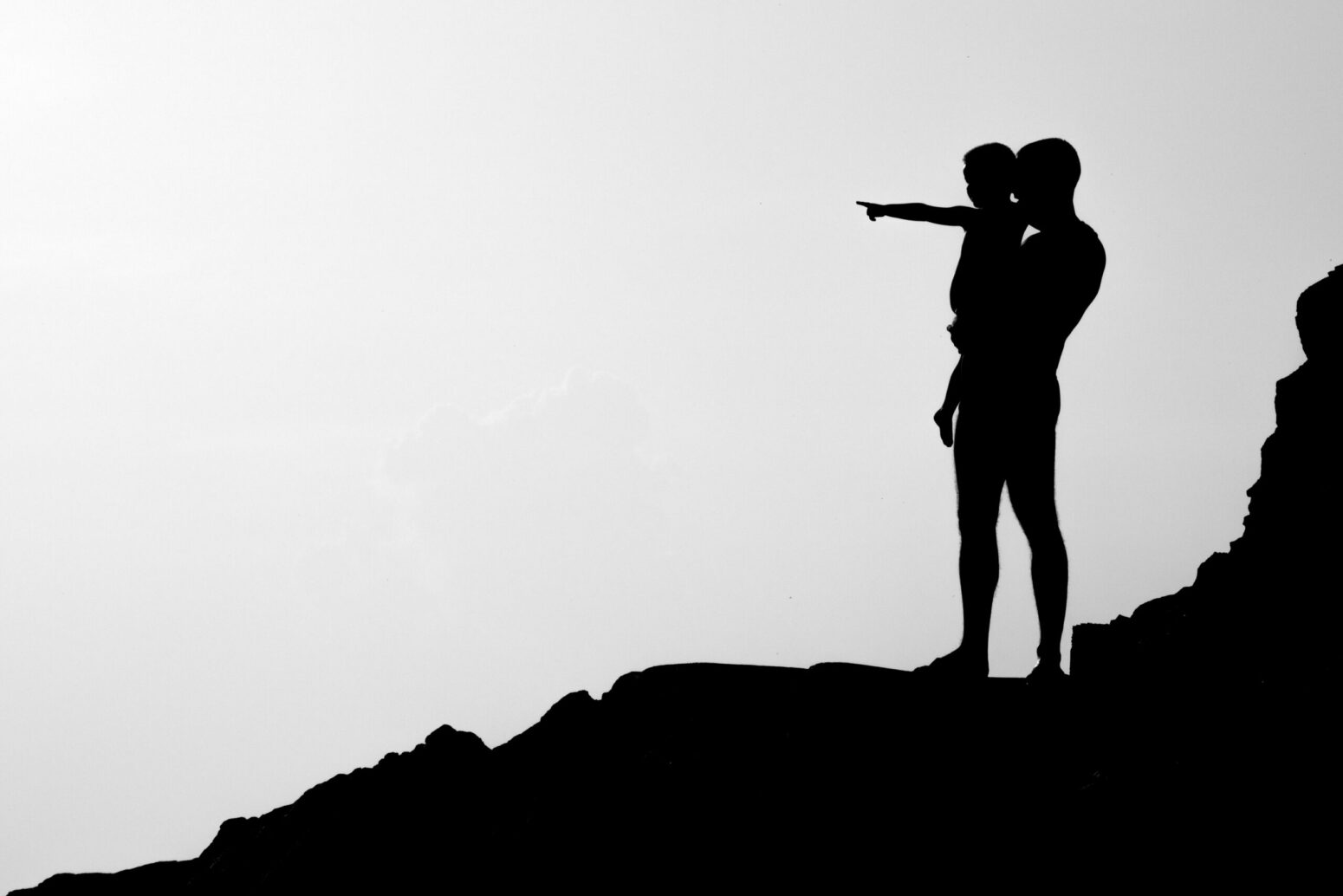 A silhouette of two people on a white background. A father holds up his son, who points off into the distance.