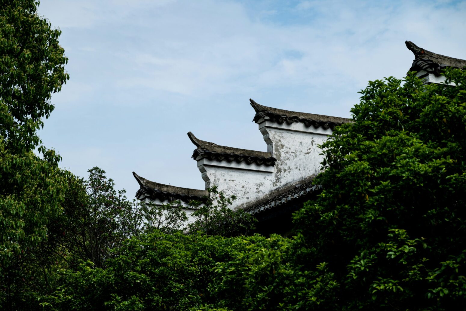 White walls protruding from a forest-covered hillside.