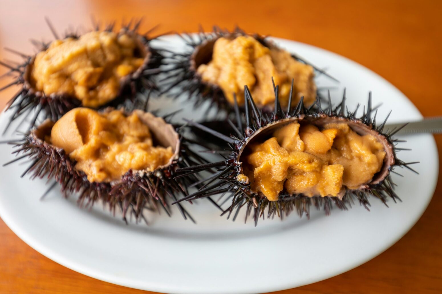 A plate of sea urchins, cracked in half. Inside are orange, fleshy, inside parts.