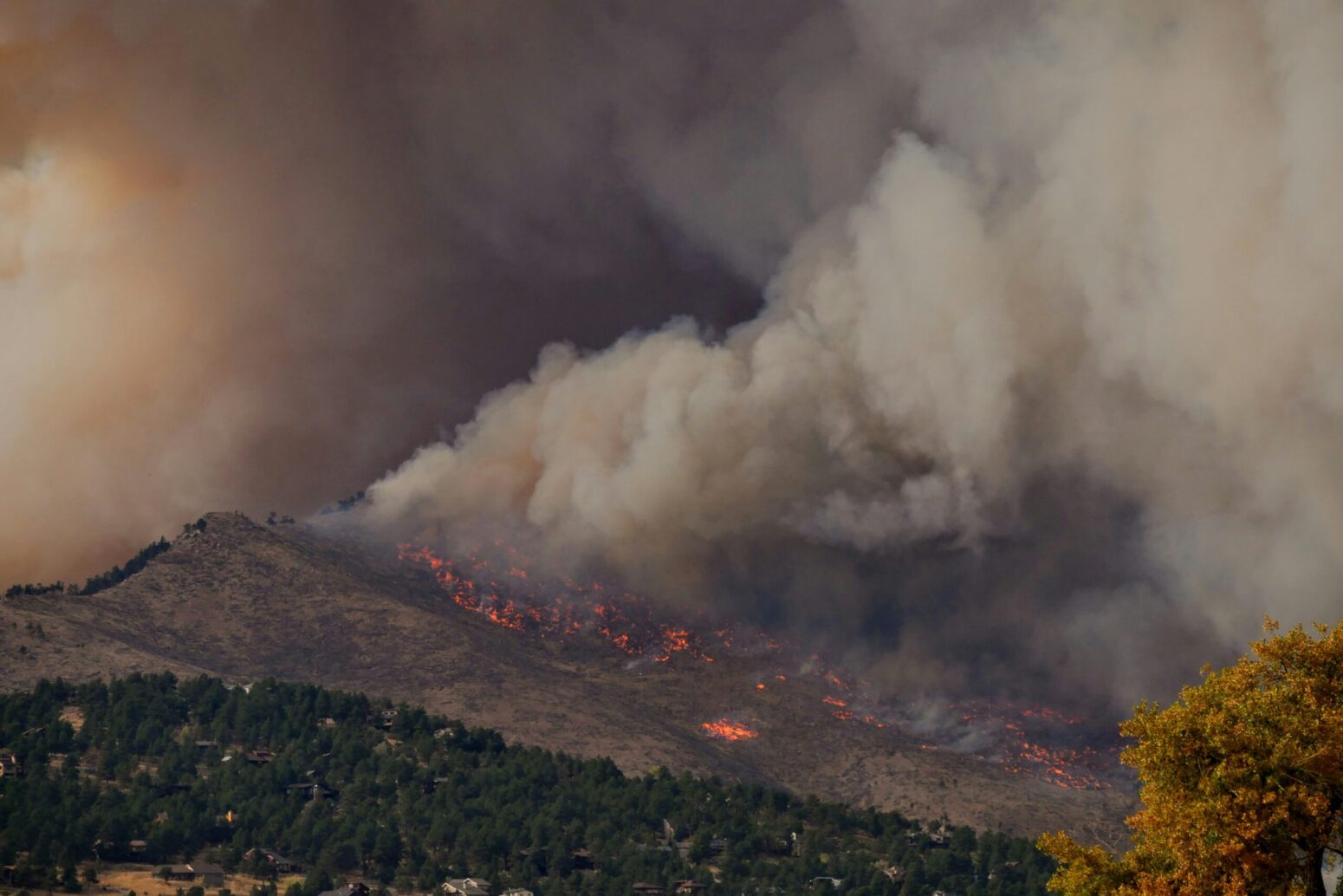 A distant forest fire. The skies are filled with gray smoke, coming from a scorched forest.